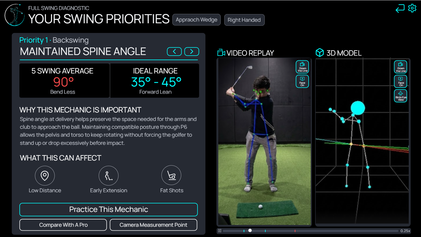 KinetIQ mechanic analysis with video replay and 3D body model